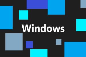 No, a Windows update probably didn’t brick your SSD